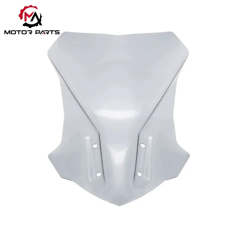 BMW G310GS 17-22 mootorratta esiklaas